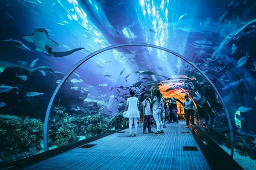 Dubai_Tour_18_Dubai-Aquarium